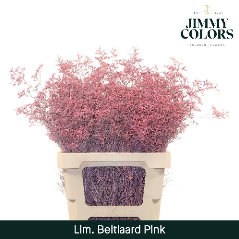 Lim Bel L70 Pink