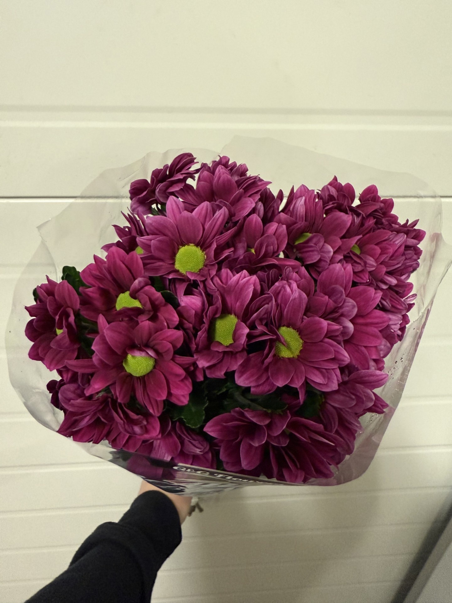 Chrys Spray Seasons Assorted Box 75gram