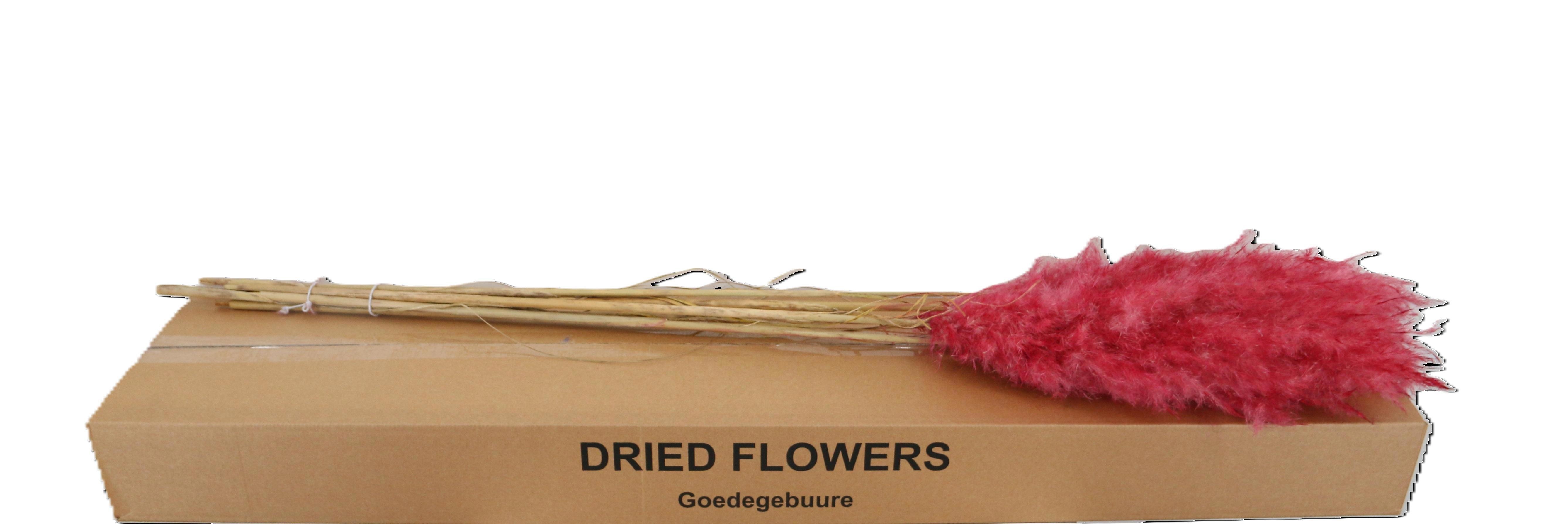 Droogbl Bewerkt H%