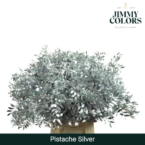 Pistache L50 Metallic Silver
