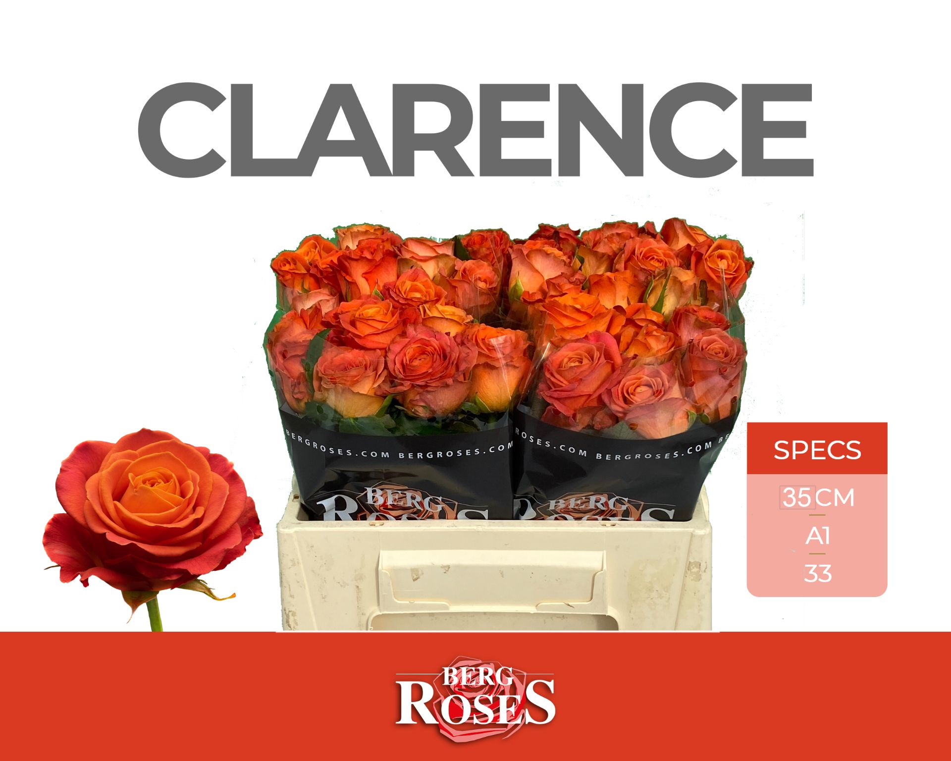 R Gr Clarence+
