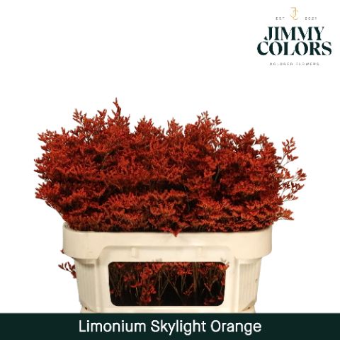 Lim Skylight L70 Orange