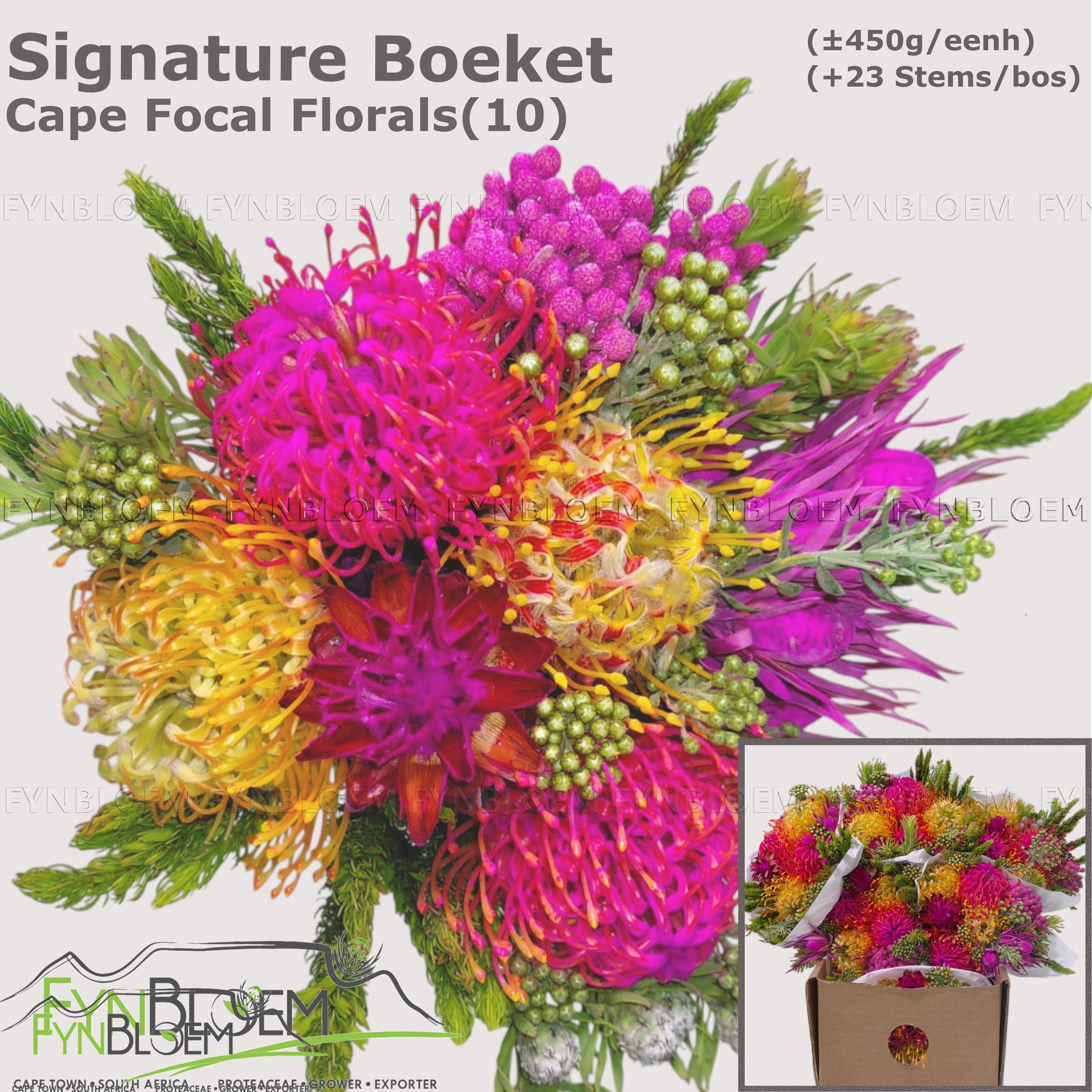 Protea Bouquet Per Bunch 40cm