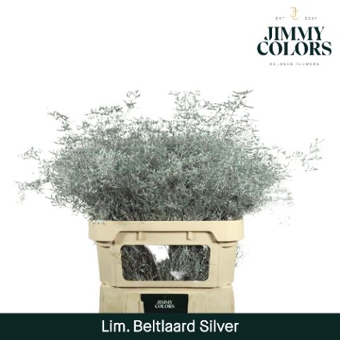 Lim Bel L90 Metallic Silver