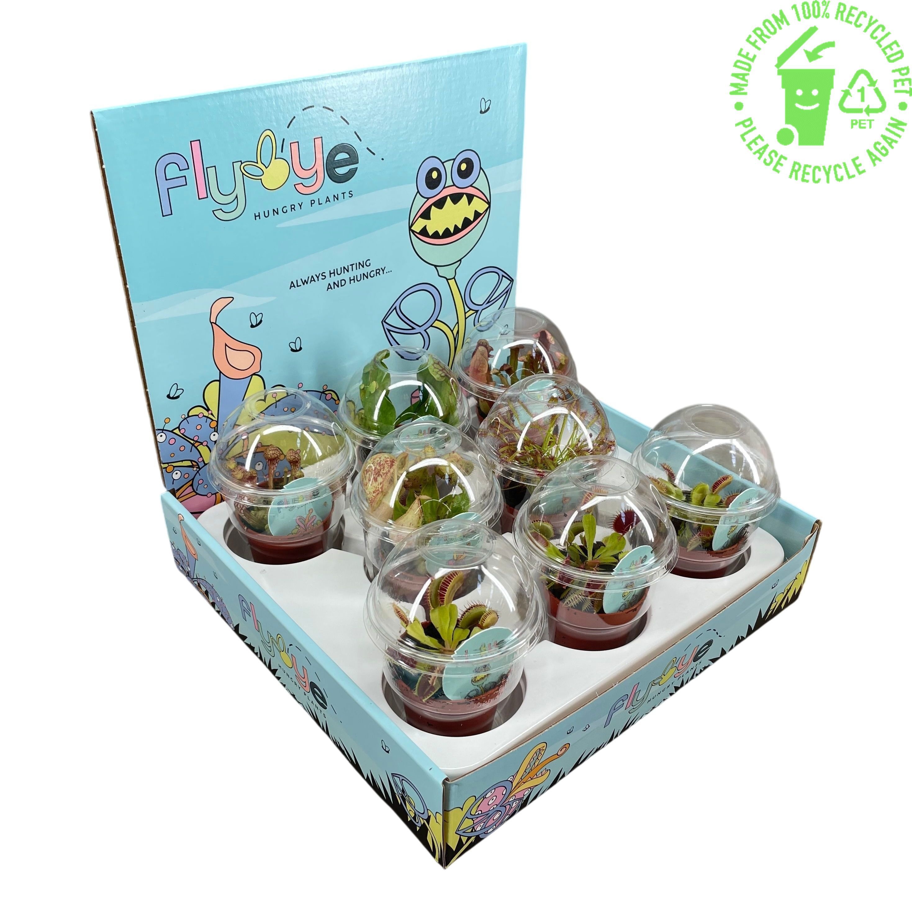 Vleesetende Planten 505P 15H