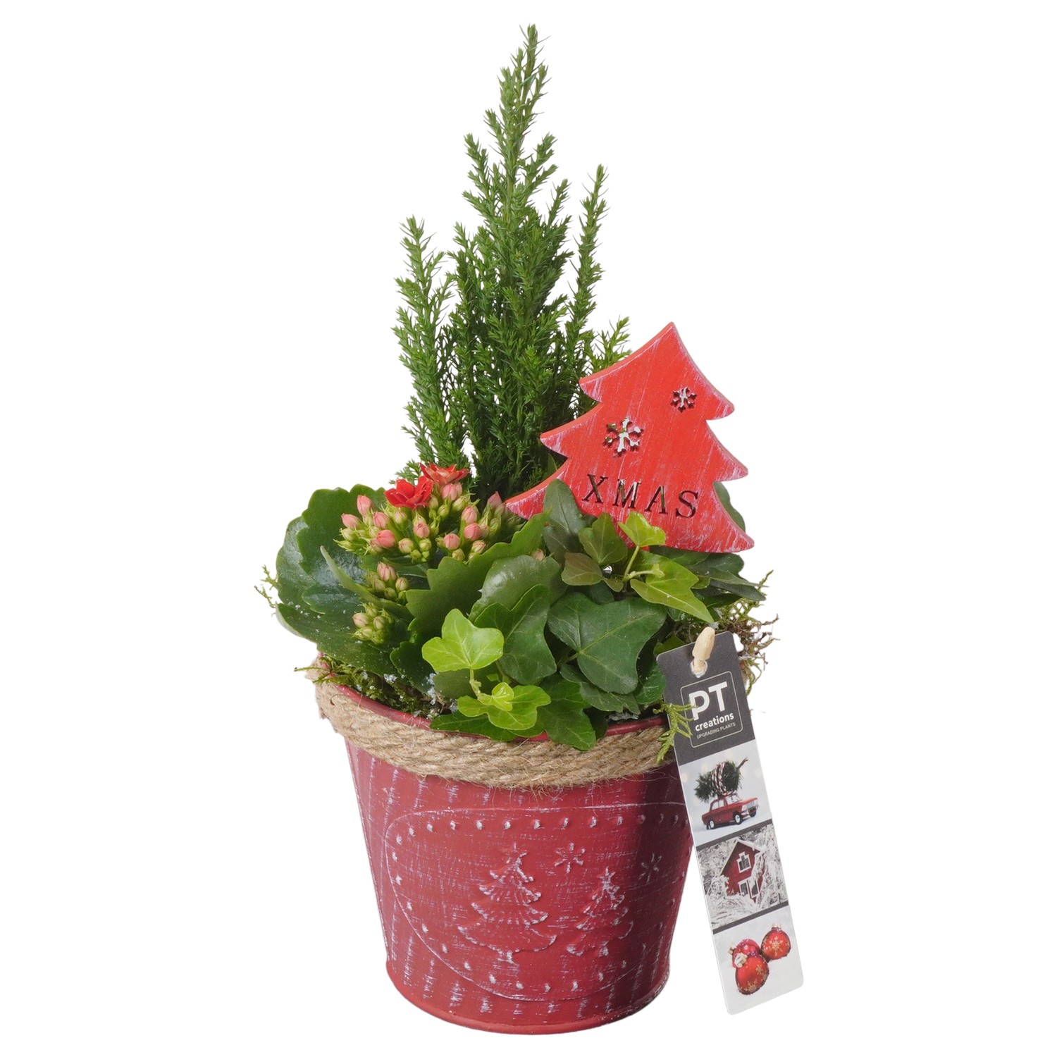 Picture of PTKB9451 Arrangement X-Mas in zinc pot P13 29CM