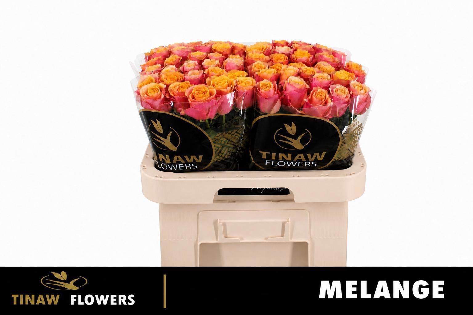 R Gr Melange