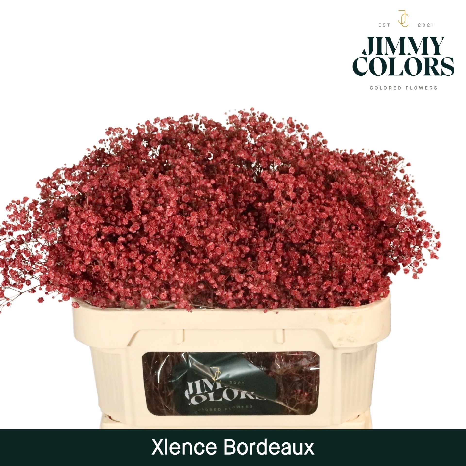 Gyps Xlence L70 Bordeaux