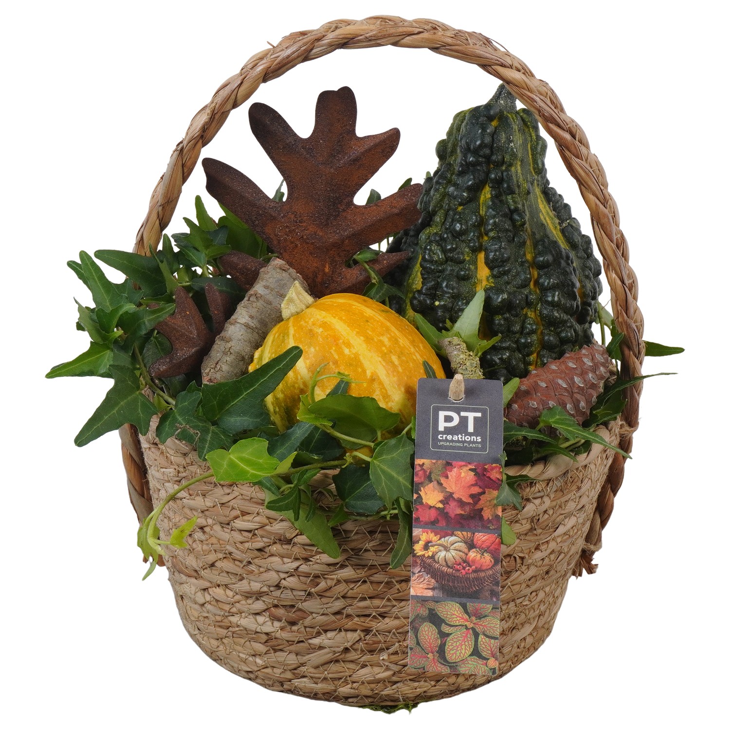 Picture of PTKBH5318 Arrangement Autumn Fruits in willow basket P18 29CM