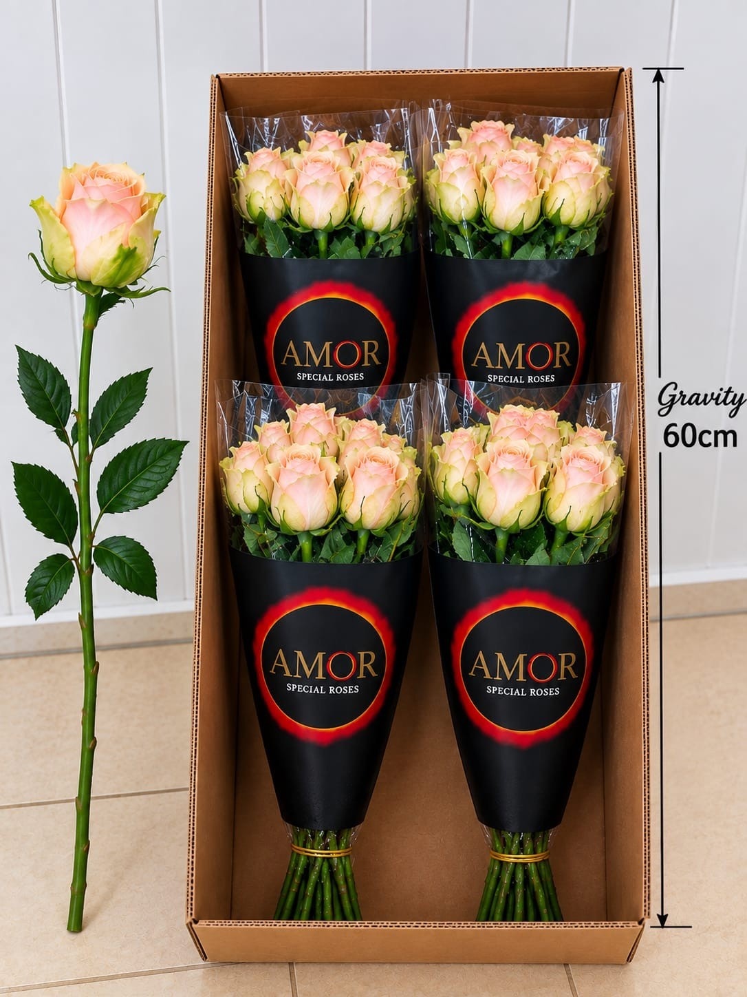 Rosa Gravity 60cm