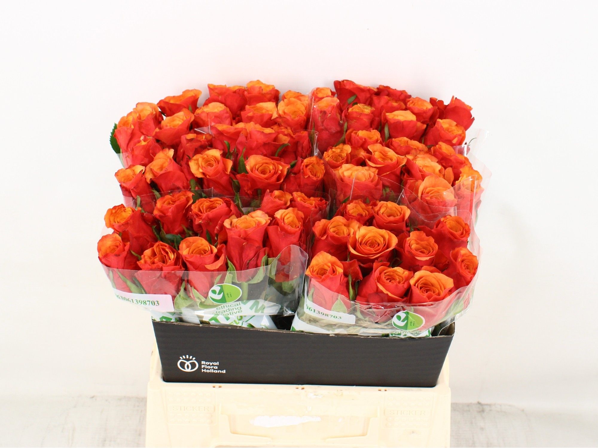 R91CP【Carola flower】 Stained Glass Blooms Bouquet - Ital Florist Canada