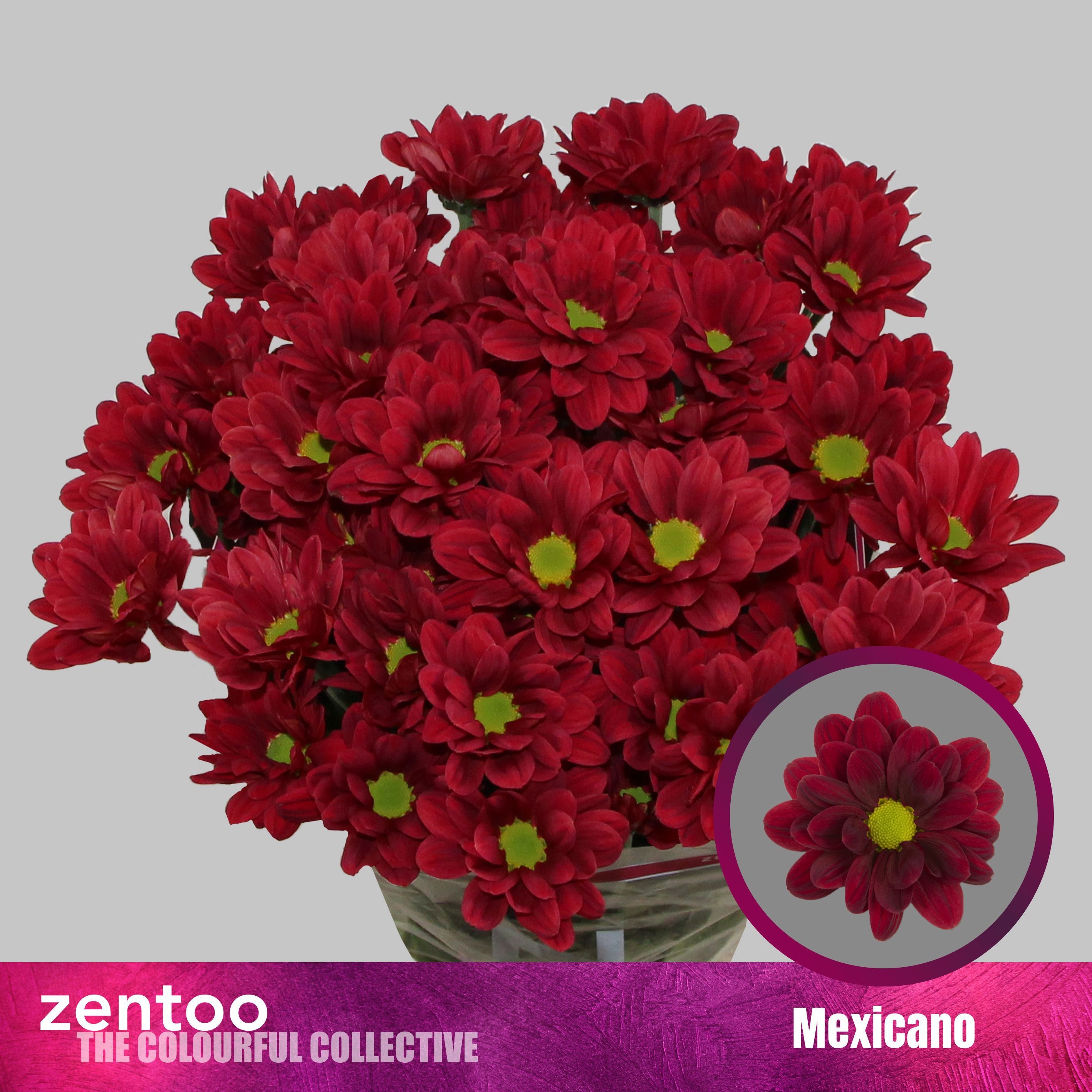 Chrys Spray Mexicano 80gram