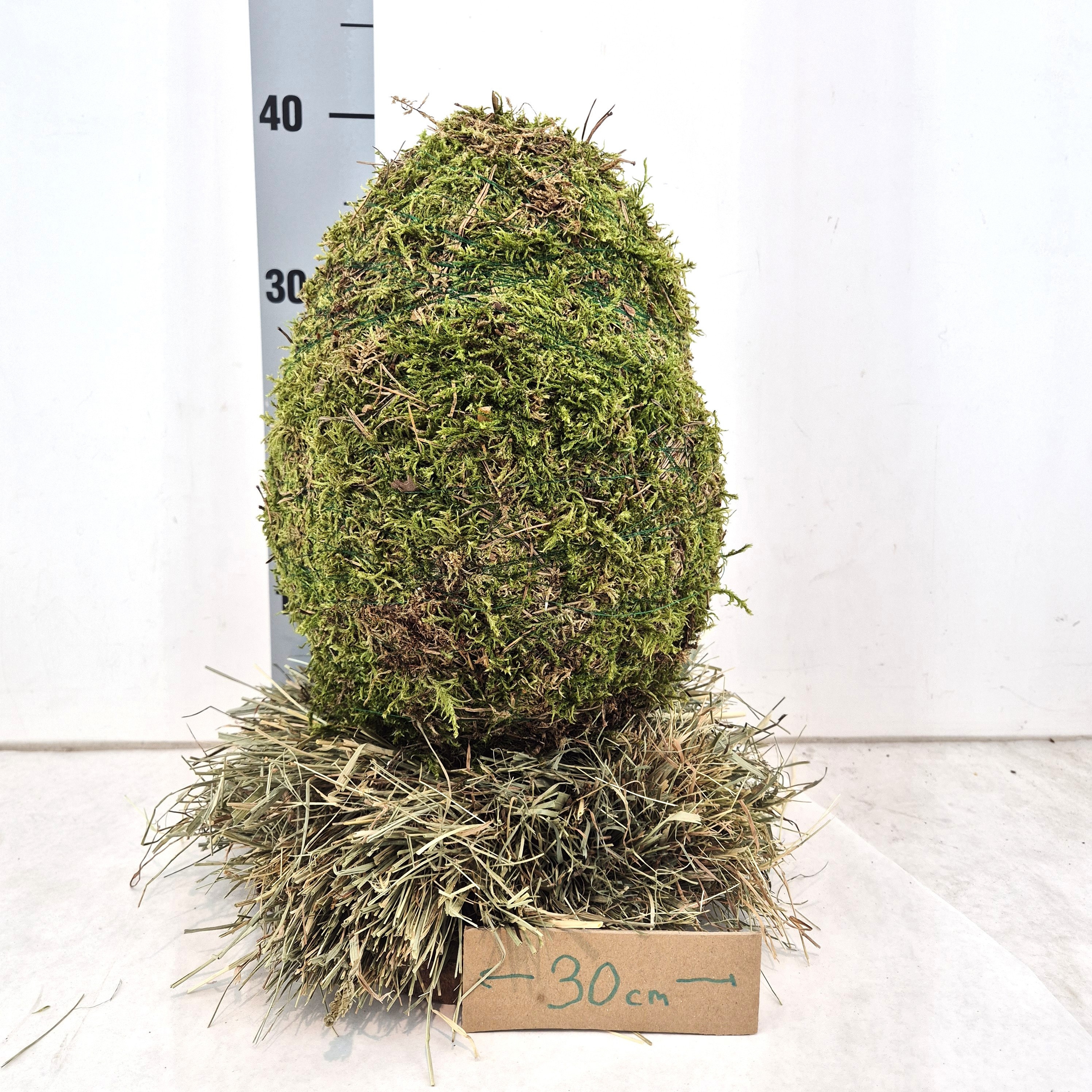 Huis en Tuindecoratie overig - Huis en Tuindecoratie