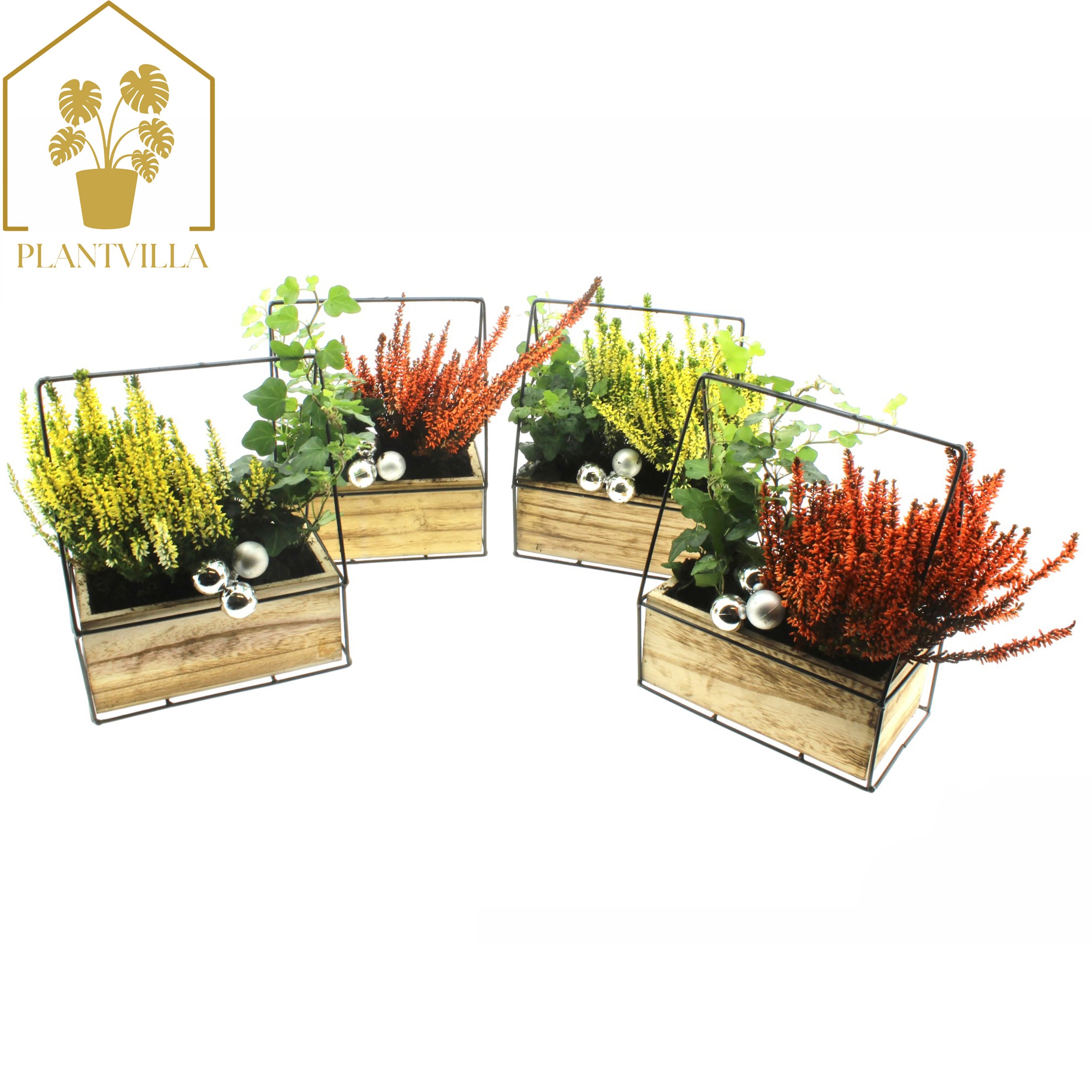 Arr Tuinplanten 18P 30cm 23bloei