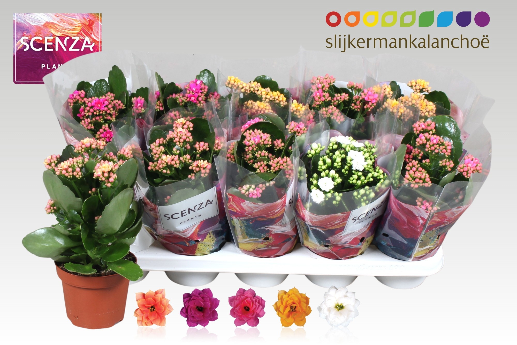 Kalan B Ge Gem 5 Kl 12Ø 26cm