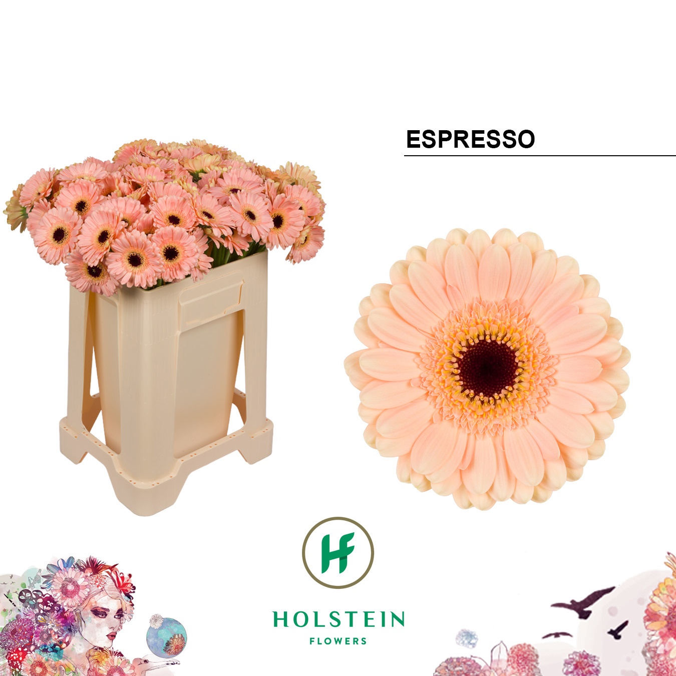 Ge Mi Espresso