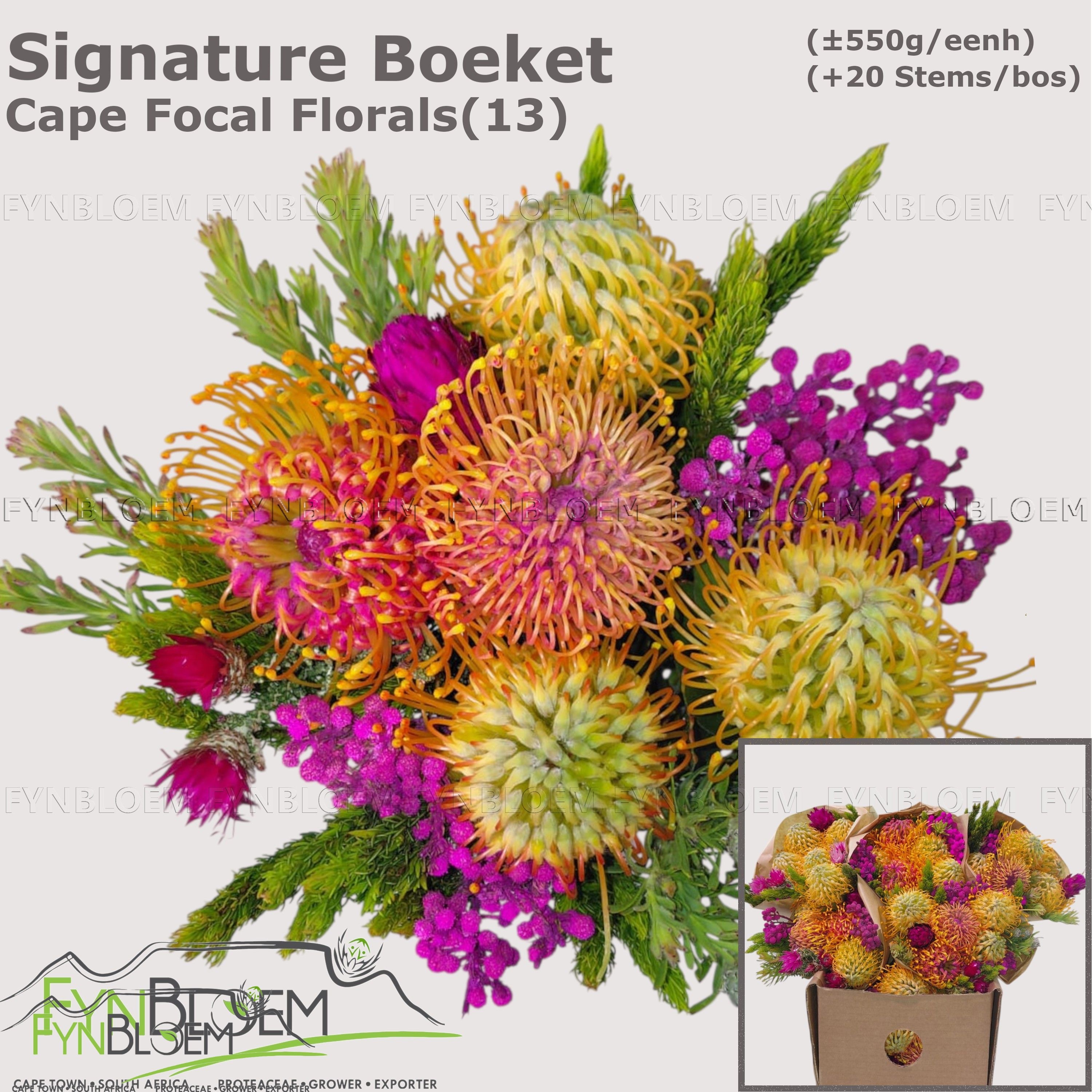 Protea Bouquet Per Bunch 40cm
