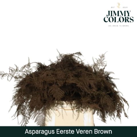 Aspa 1ste Veren Brown