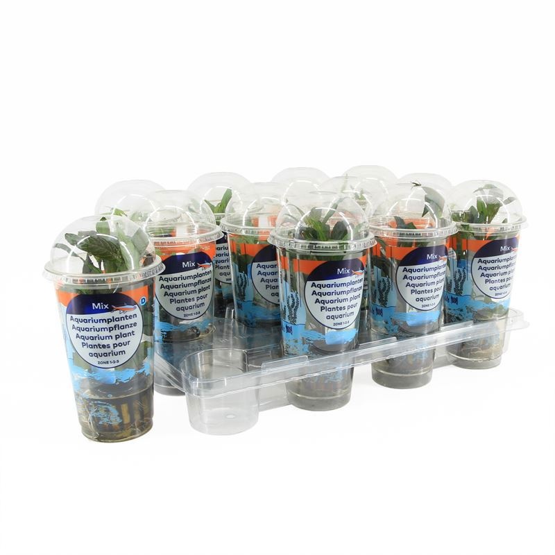 Hygrophila beker