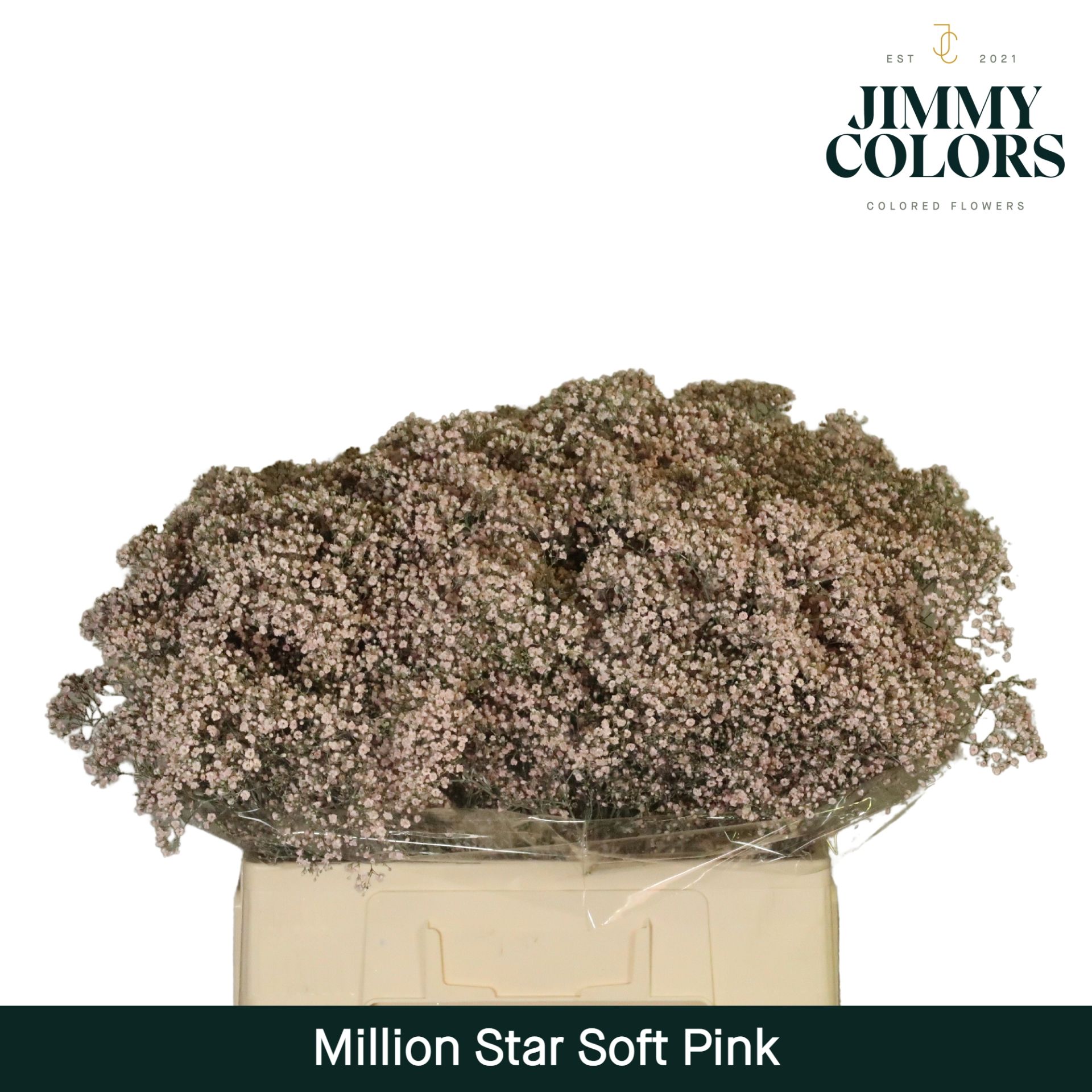 Gyps Million Star L60 Soft Pink