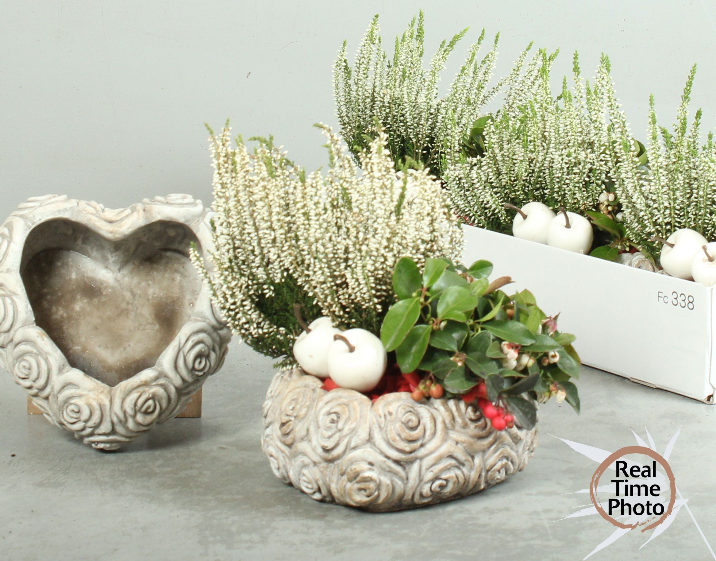 Arr Tuinplanten 18P 35cm