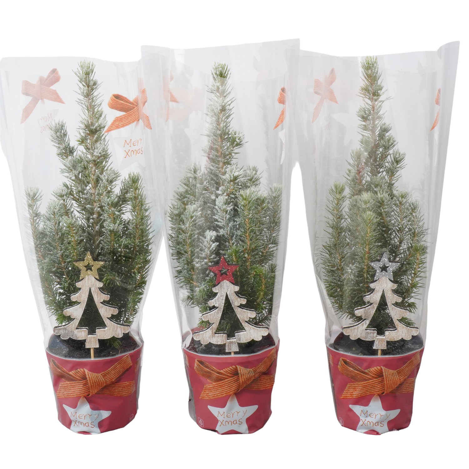 Picture of PTK24304 Picea Conica Perfecta with snow Xmas sleeve decoration P9 30CM