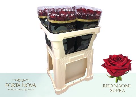 R Gr Red Naomi!