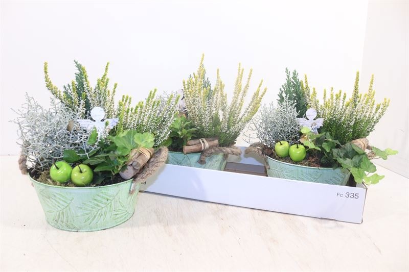 Arr Tuinplanten 22P 30cm