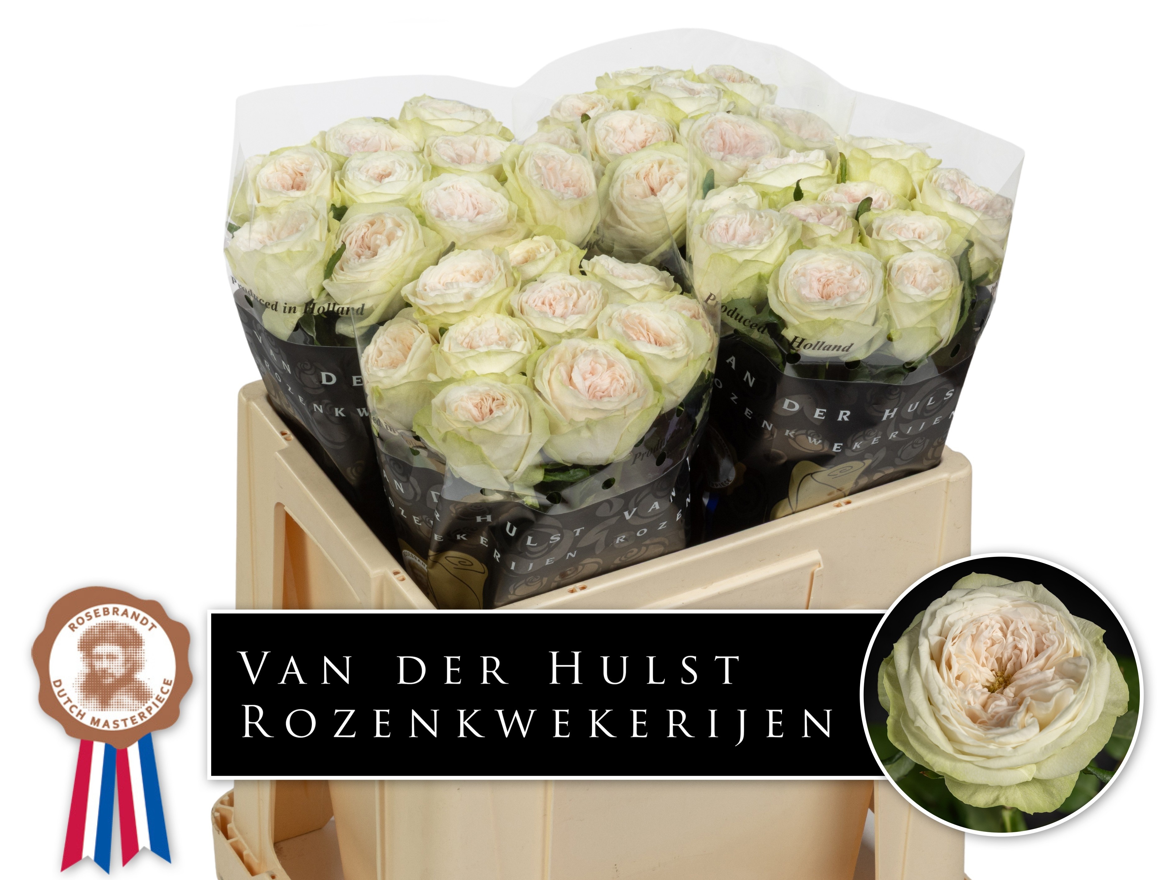 R Gr Bal D Summerhou