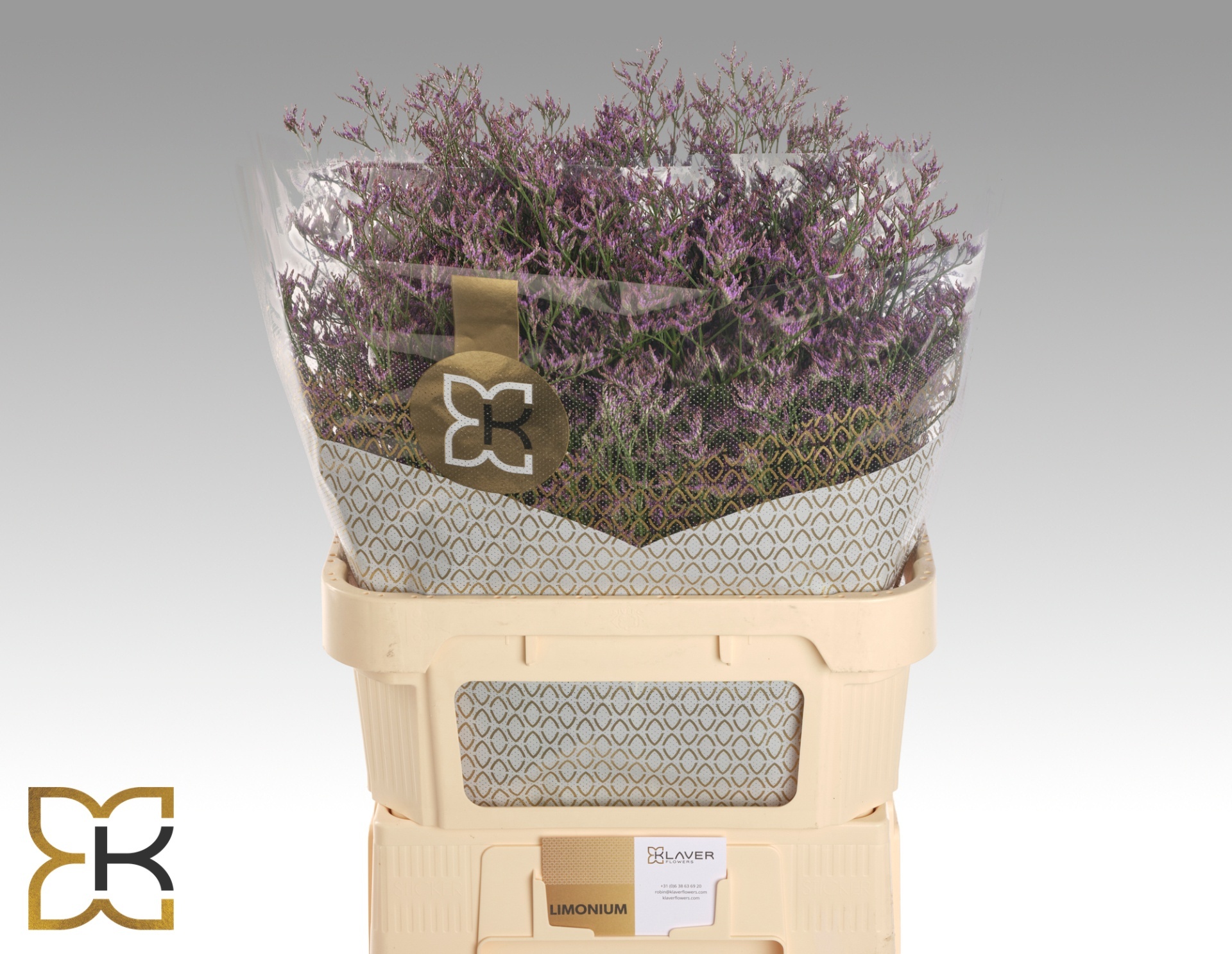 Limonium Dark Blue 80cm 35gram
