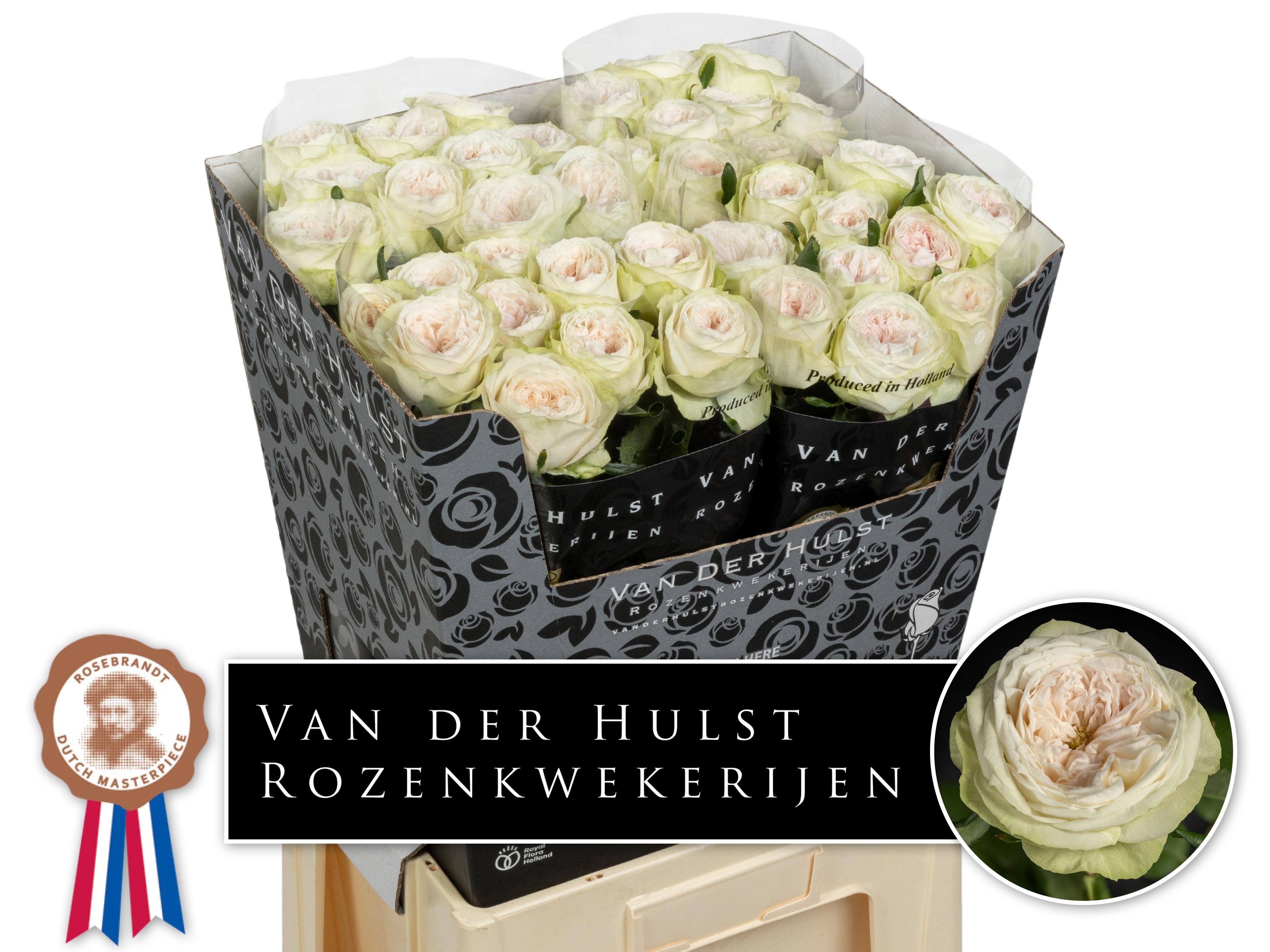 R Gr Bal D Summerhou