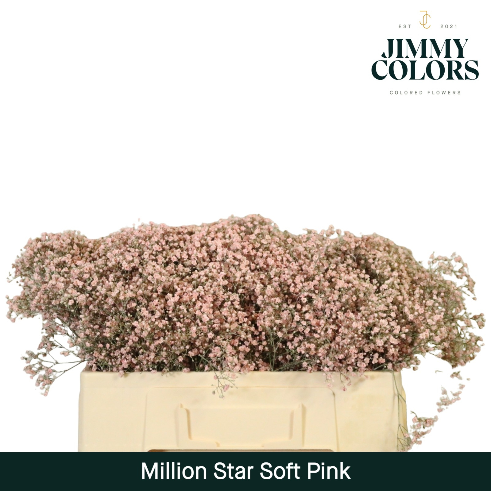 Gyps Million Star L50 Soft Pink