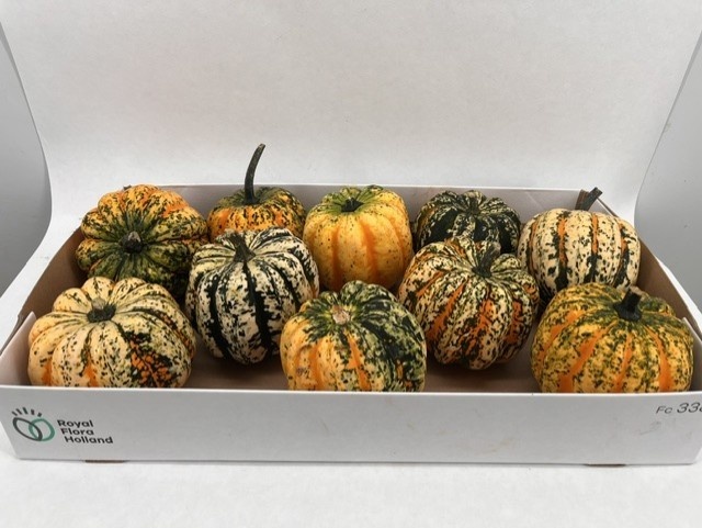 Ornamental Fruits Per Piece