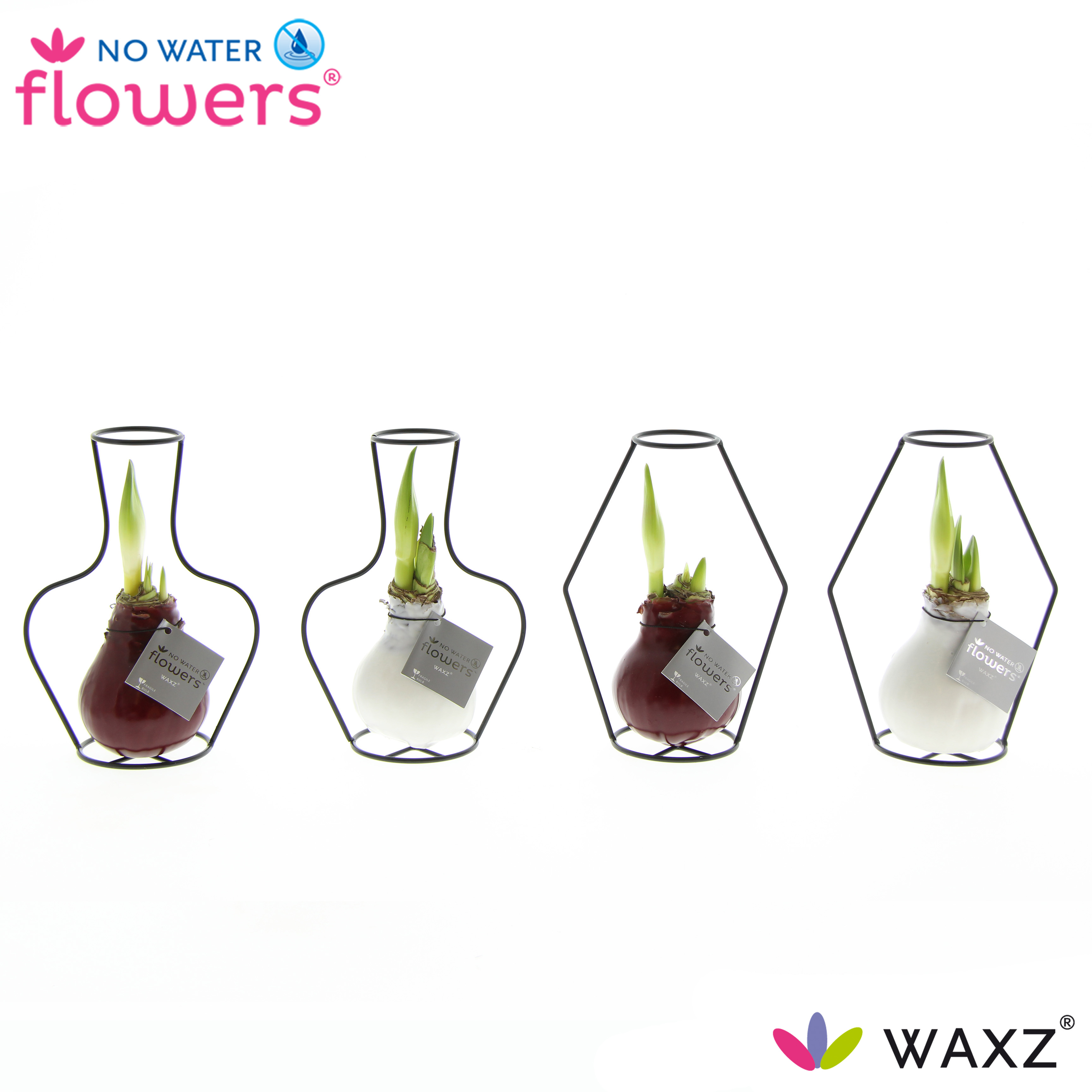 Picture of No Water Flowers Waxz® Formz Classic mix 15CM