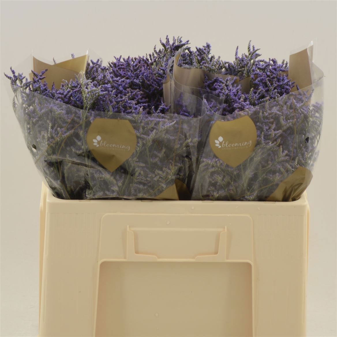 Lim Saf Dark Blue 60L.cm 20gram 23bloei