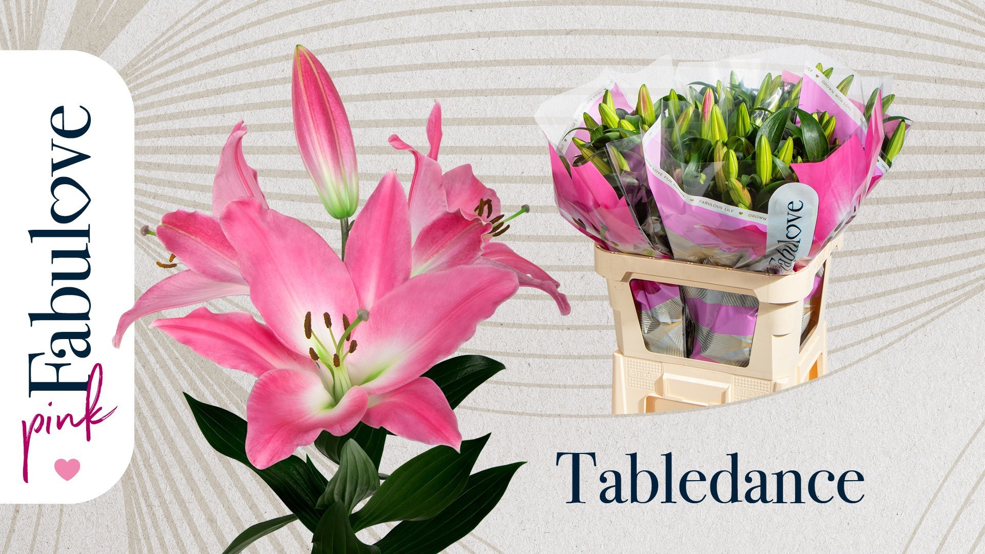 Li Ot Tabledance