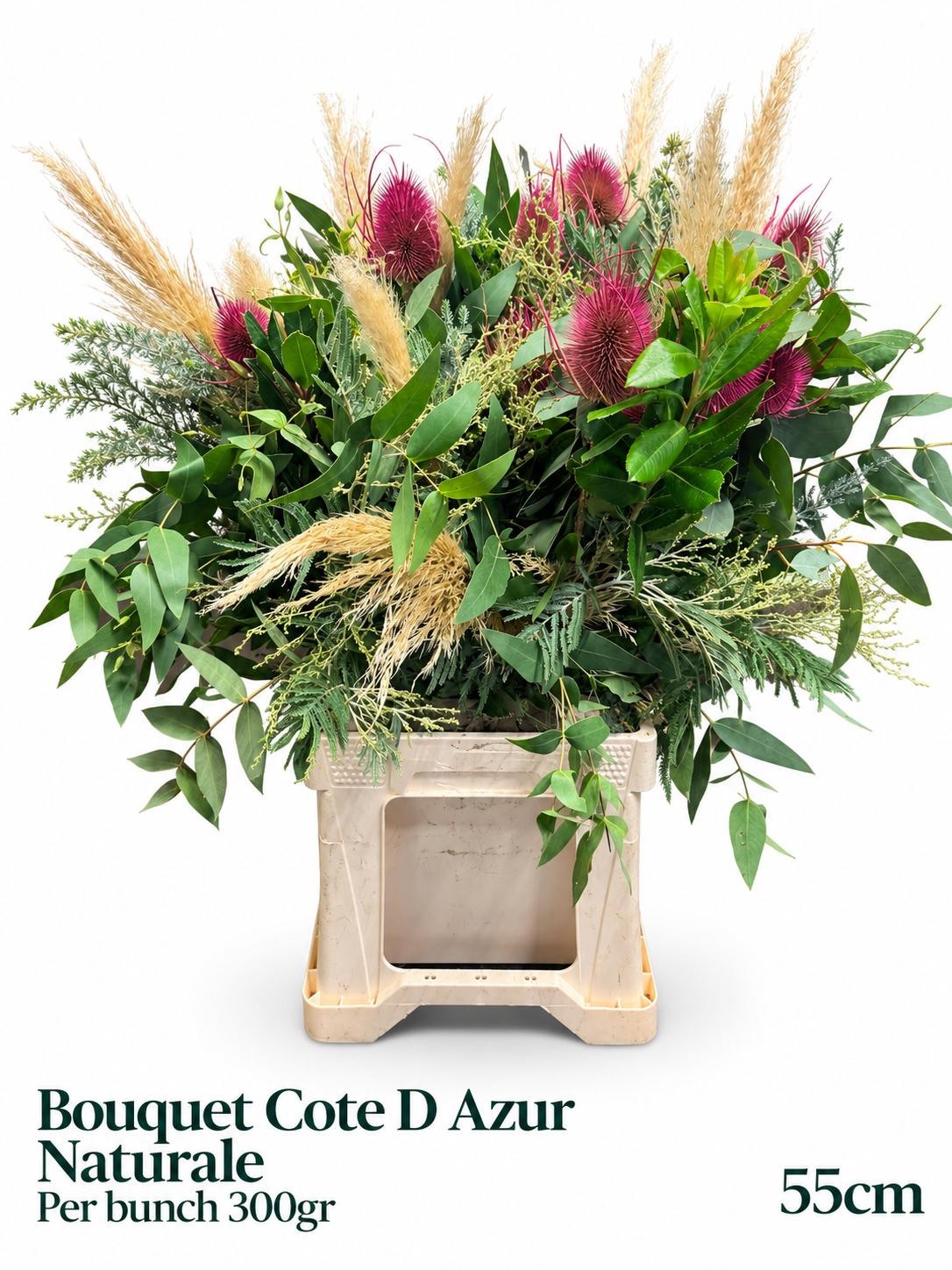 Decogroen Ov