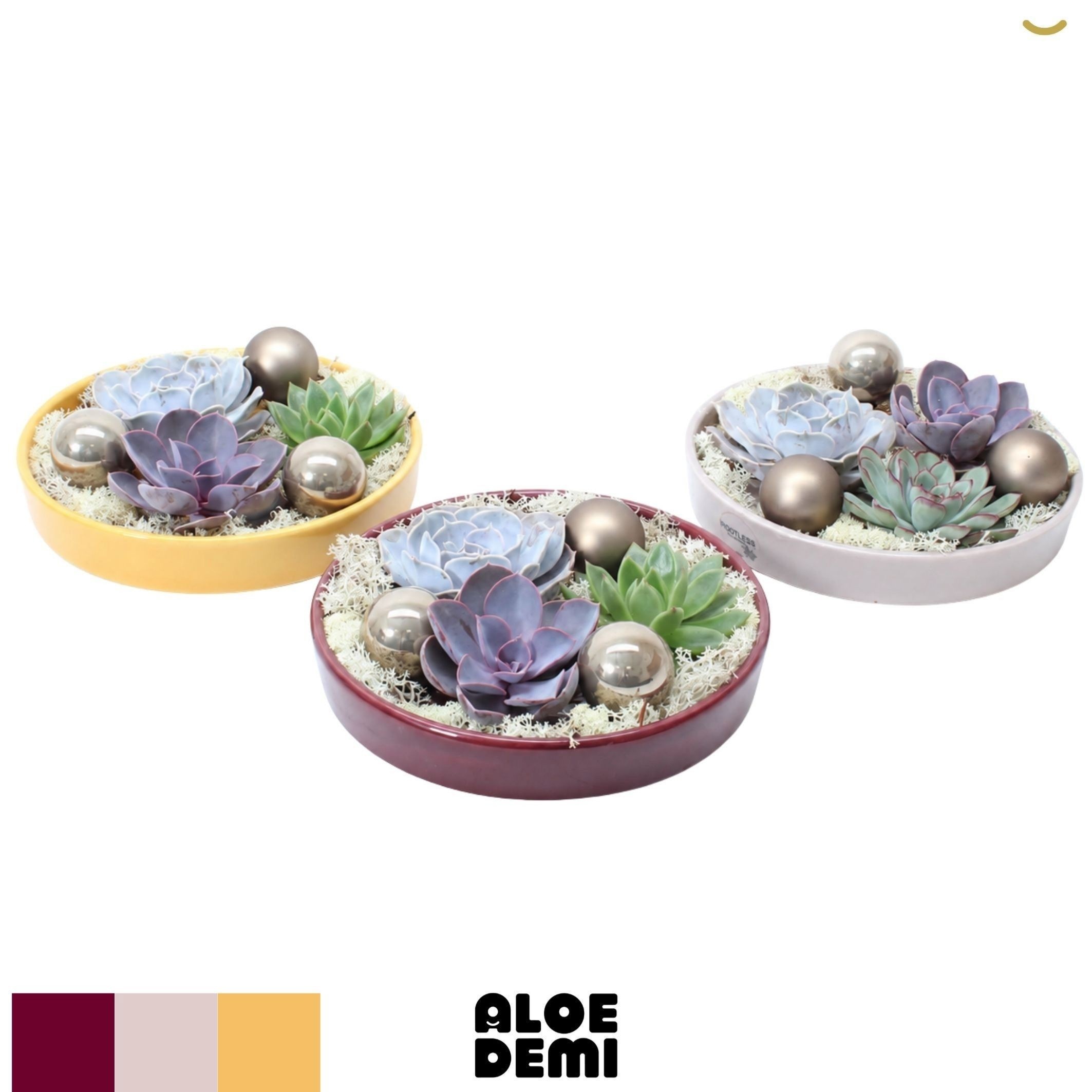 Vetplanten Arr 6% 20Ø 5cm