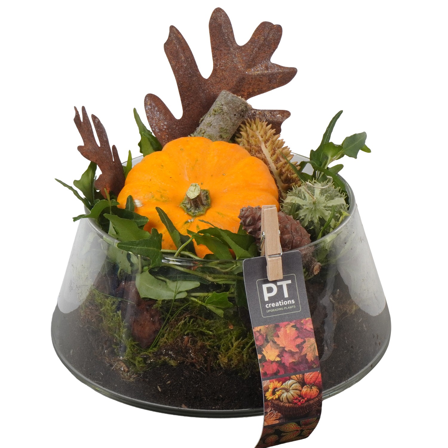 Picture of PTKBH5328 Arrangement Autumn Fruits in glass bowl P18 20CM