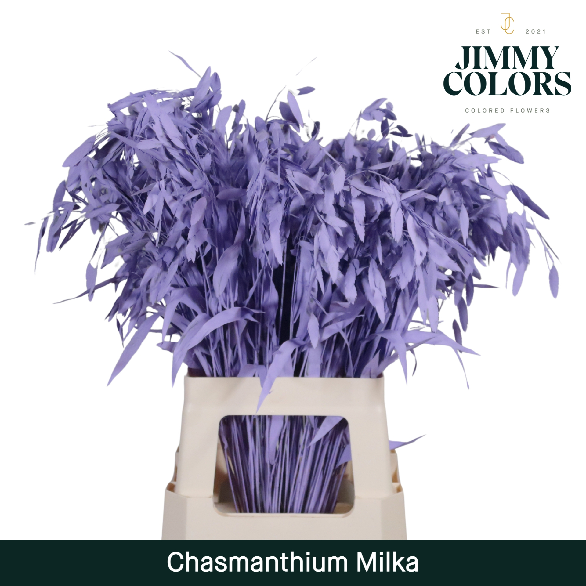 Chasmanthium L70 Milka