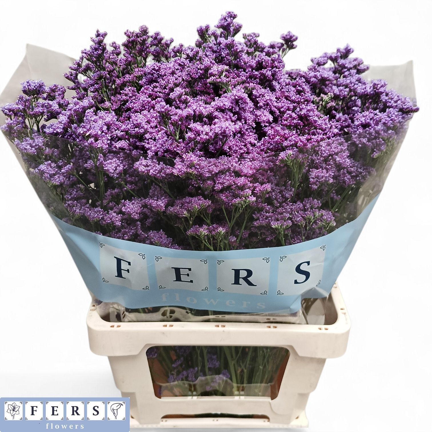 Limonium Sin Kansas Blue 70cm 48gram