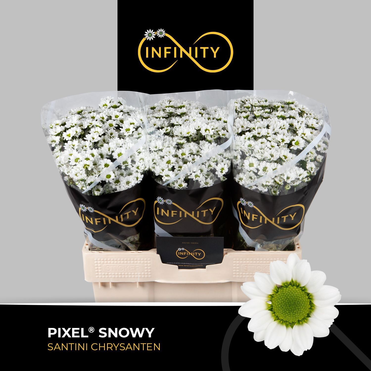 Chr S Pixel Snowy