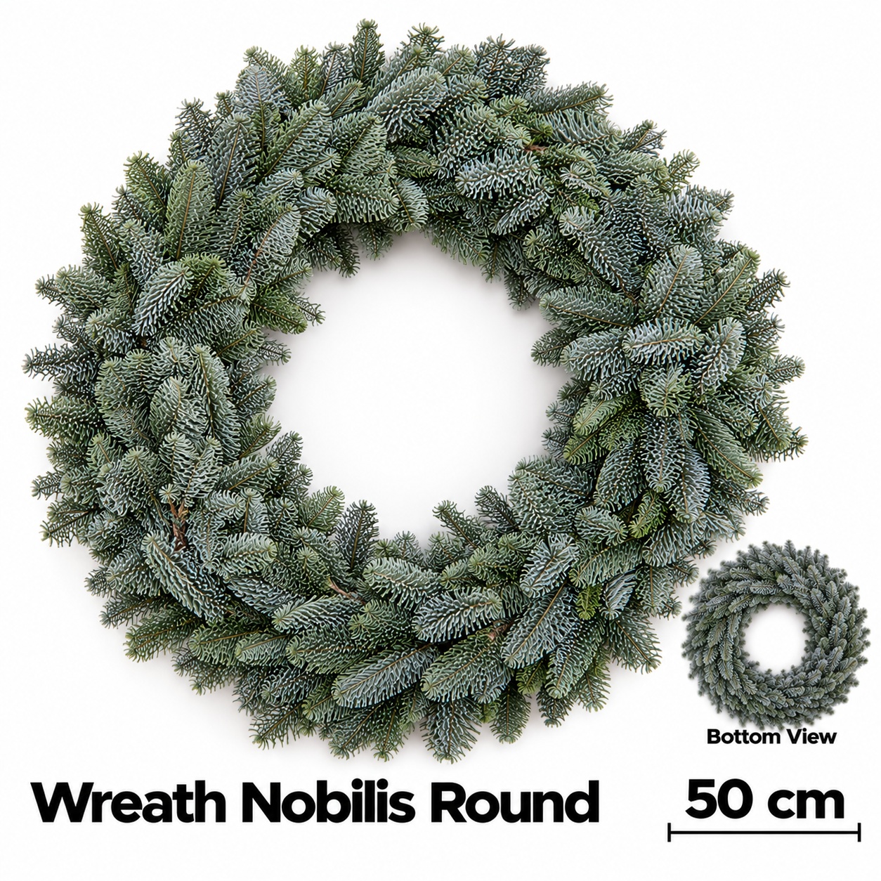 Abies Nobilis Blauw 50L.cm