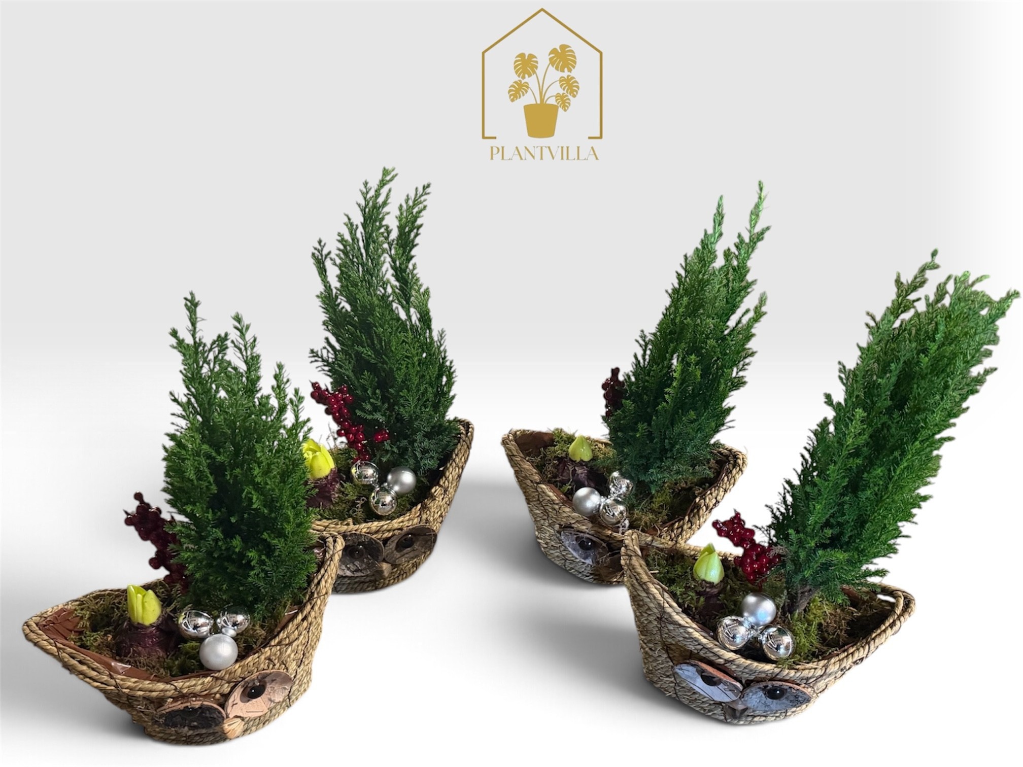 Arrangement Garden Plants 21Ø