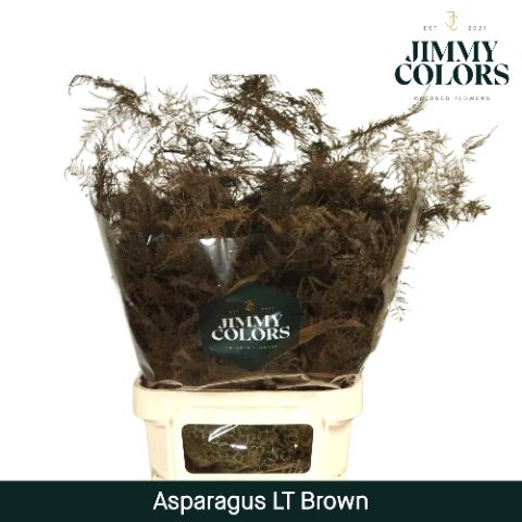 Aspa Lang Getopt Brown