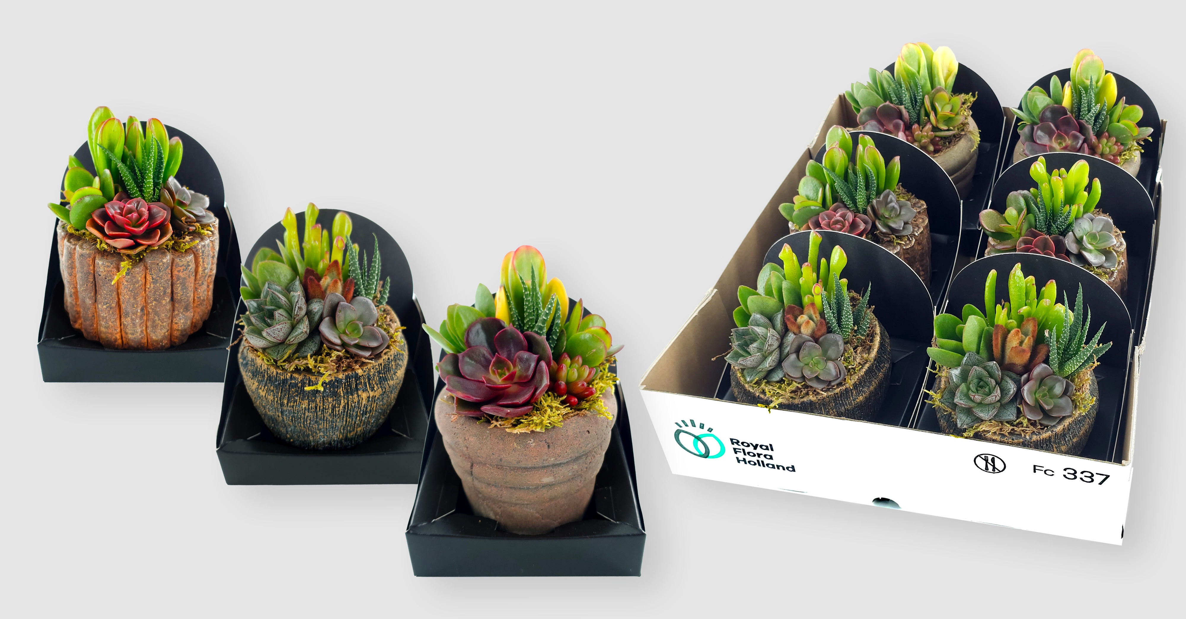 Vetplanten Arr 6% 9Ø
