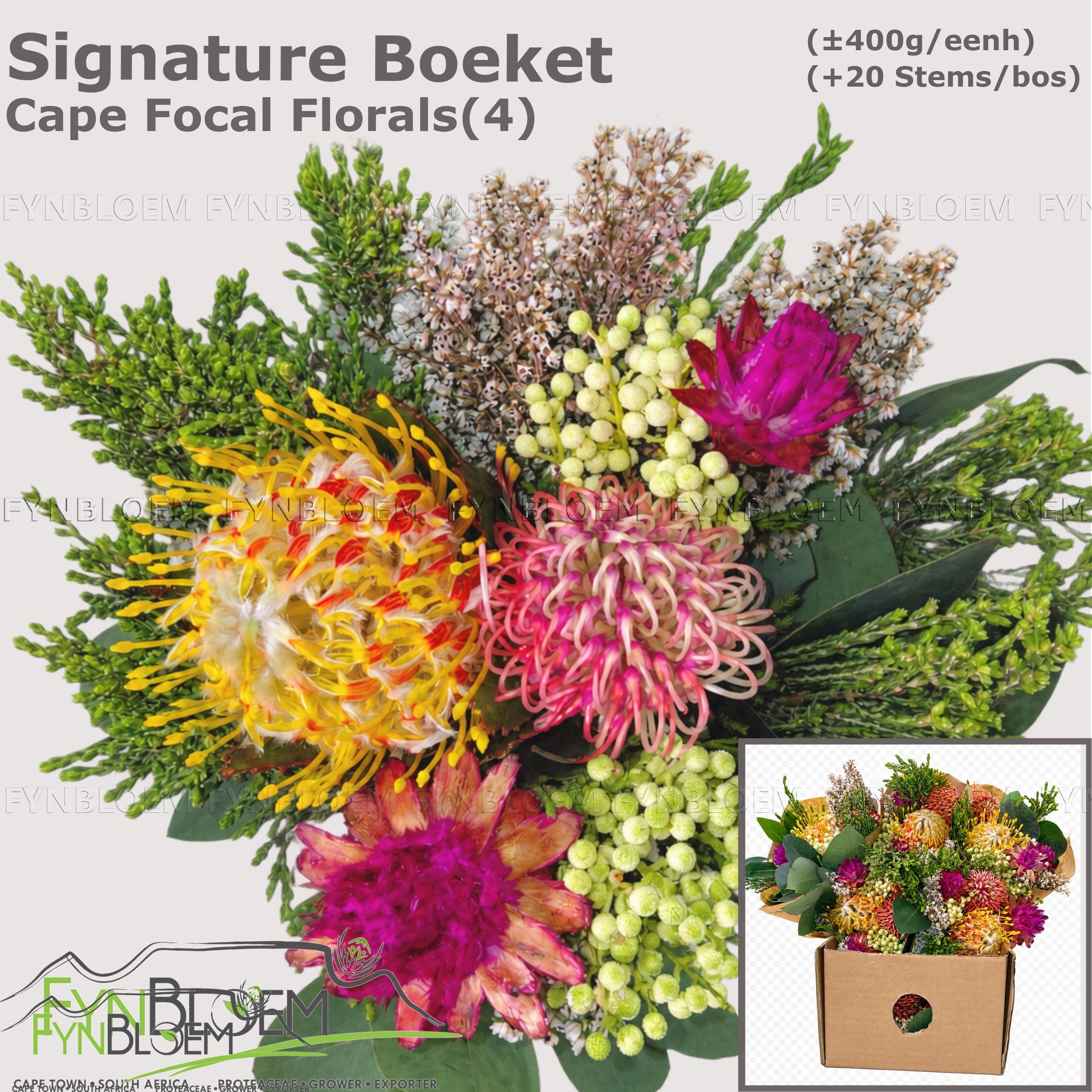 Protea Per Bos