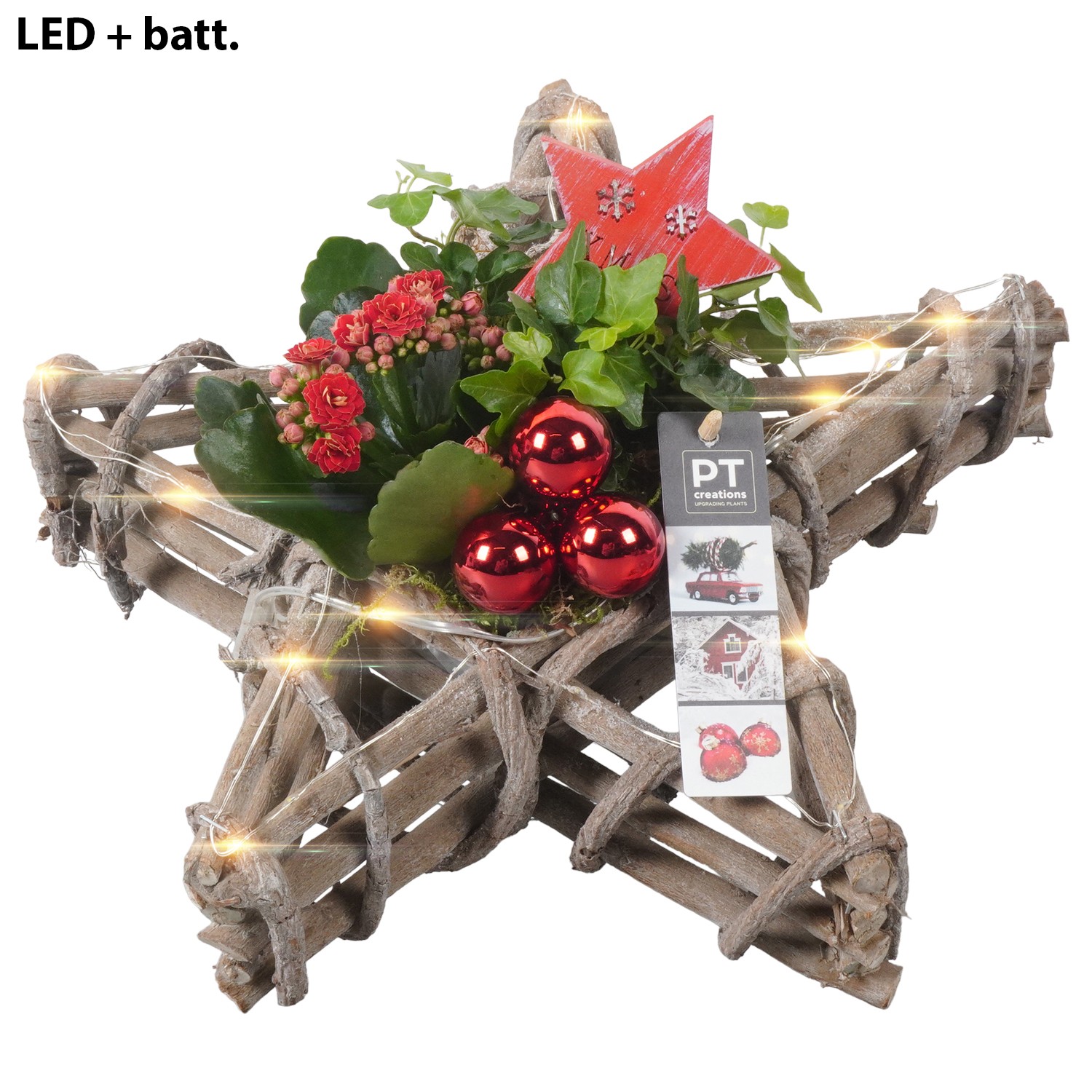 Picture of PTKB9343 Arrangement X-Mas in wooden star P33 17cm