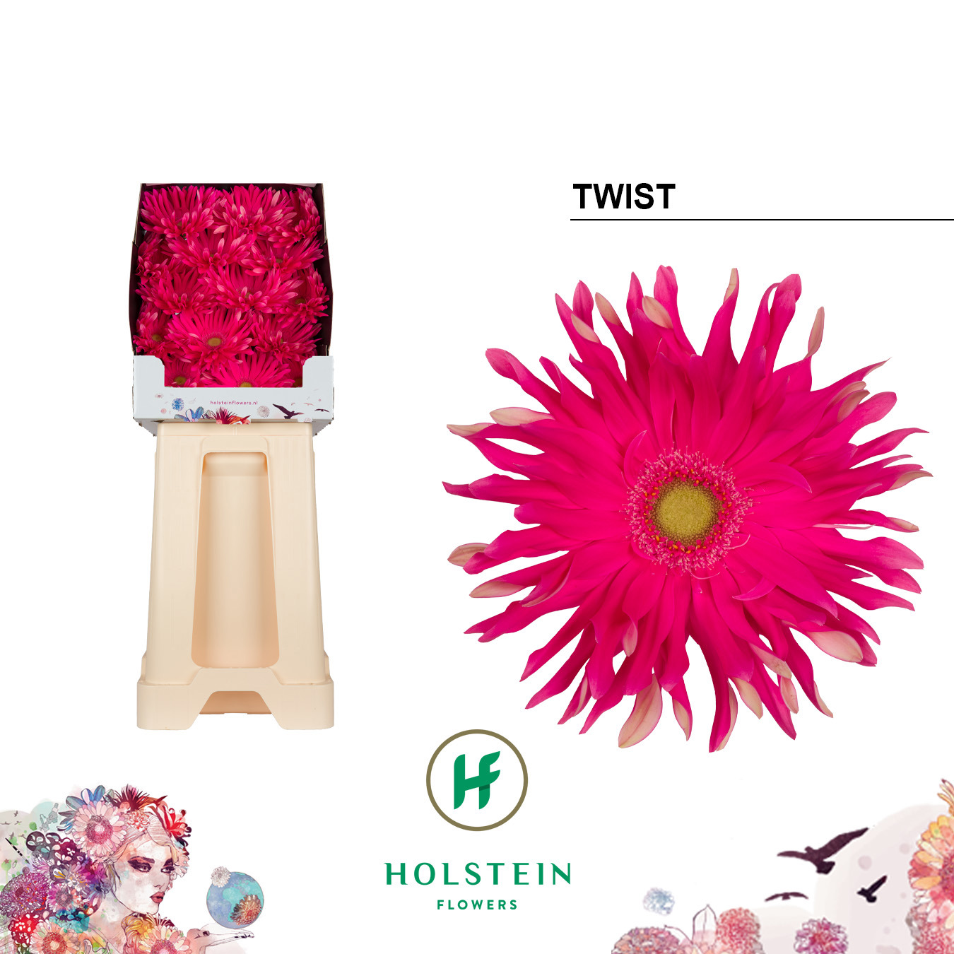 Gerbera Pasta Twist Diamond