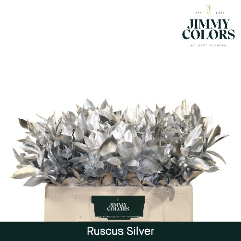 Ruscus L50 Mtlc. Silver